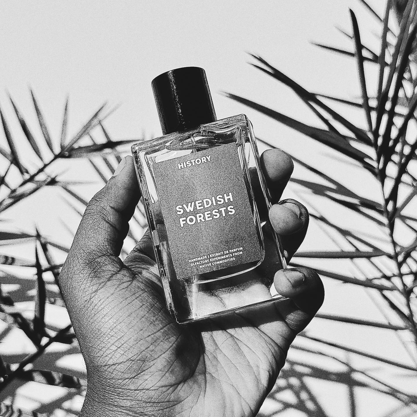 History Parfums  TheScentHouse